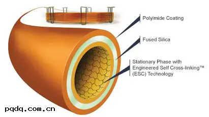 SHINWA ULBON HR-Thermon-HG 烷基汞專用柱